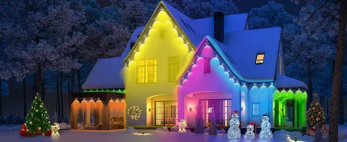 Smart LED Outdoor Light