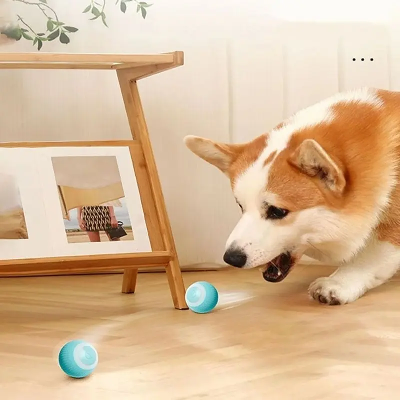 Cat Playing with Smart Ball