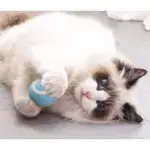 Smart Cat Toys Automatic Rolling Ball