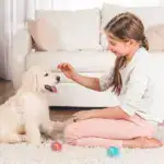 Smart Cat Toys Automatic Rolling Ball