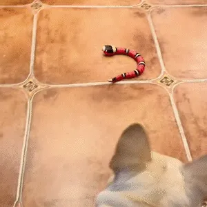 Magic Snake Smart Toy