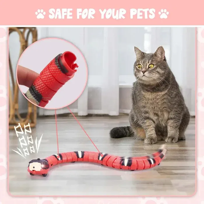 Safety First