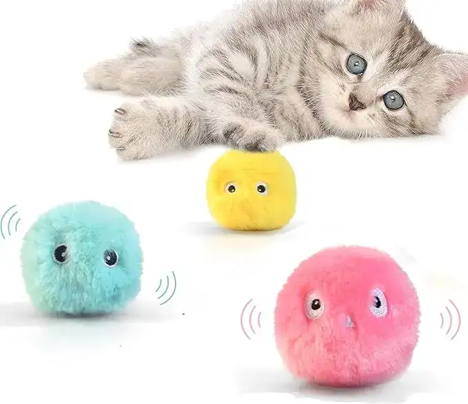 Cat Toy Gift