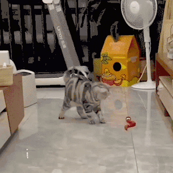 Slithering Action