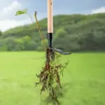 New detachable weed puller - Image 4