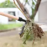 New detachable weed puller - Image 3